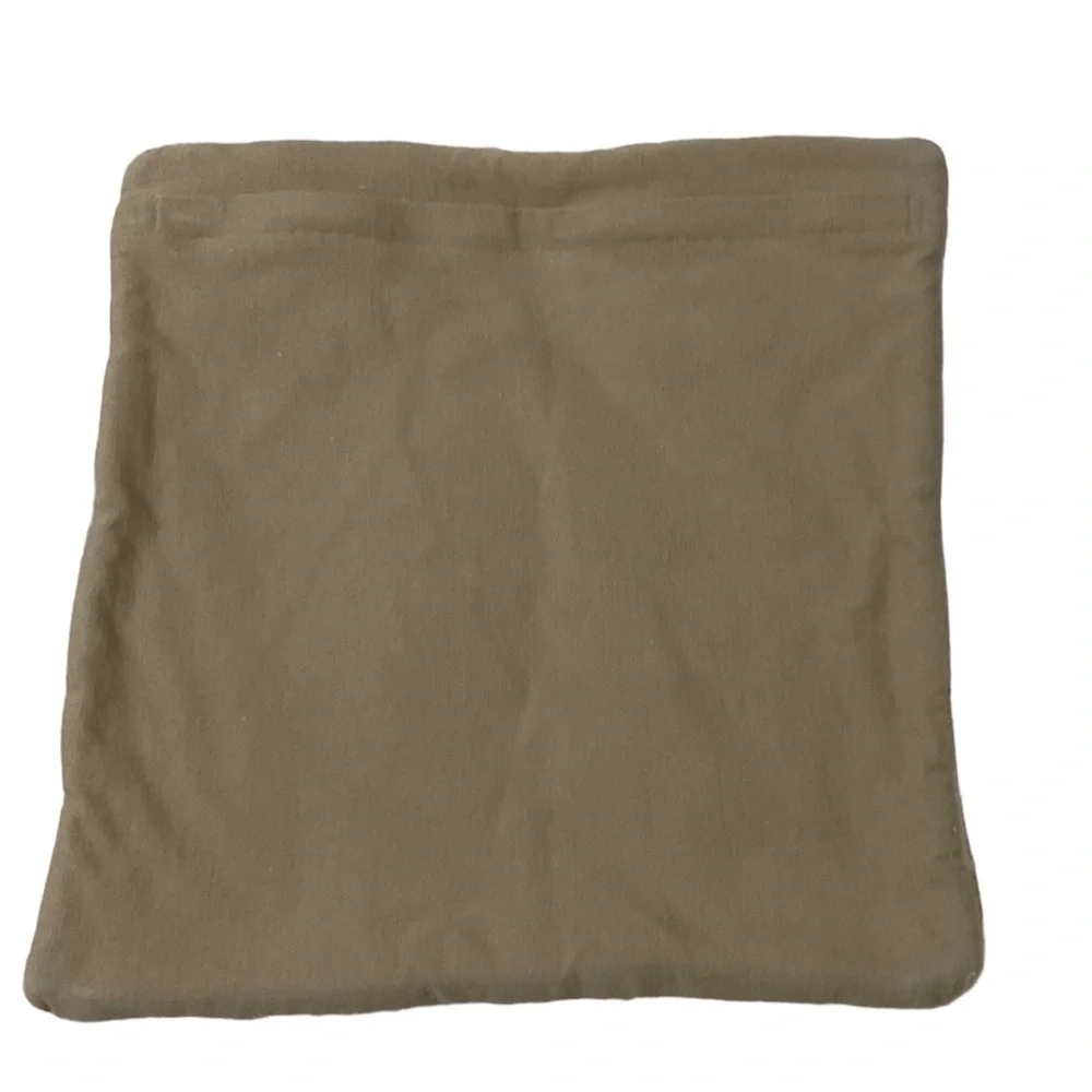 Pottery Barn Accent Pillow